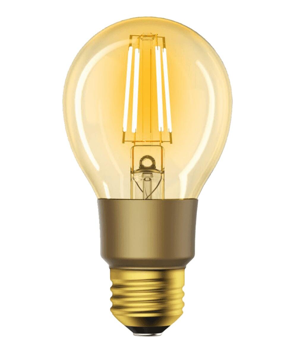 Lampadina LED E27 con Filamento Smart Controllo Vocale Alexa F, R9078