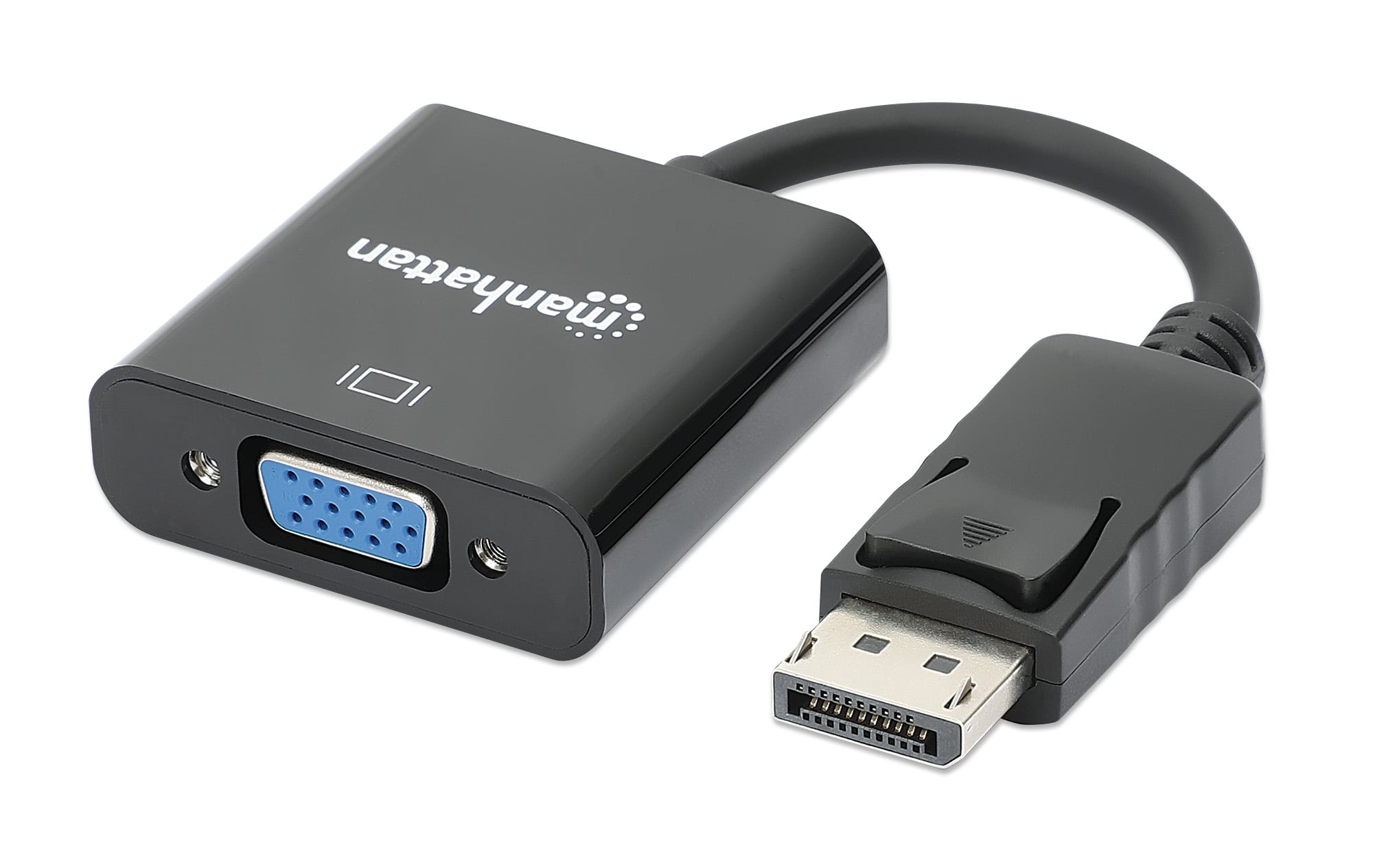 Cavo Convertitore da DisplayPort a VGA