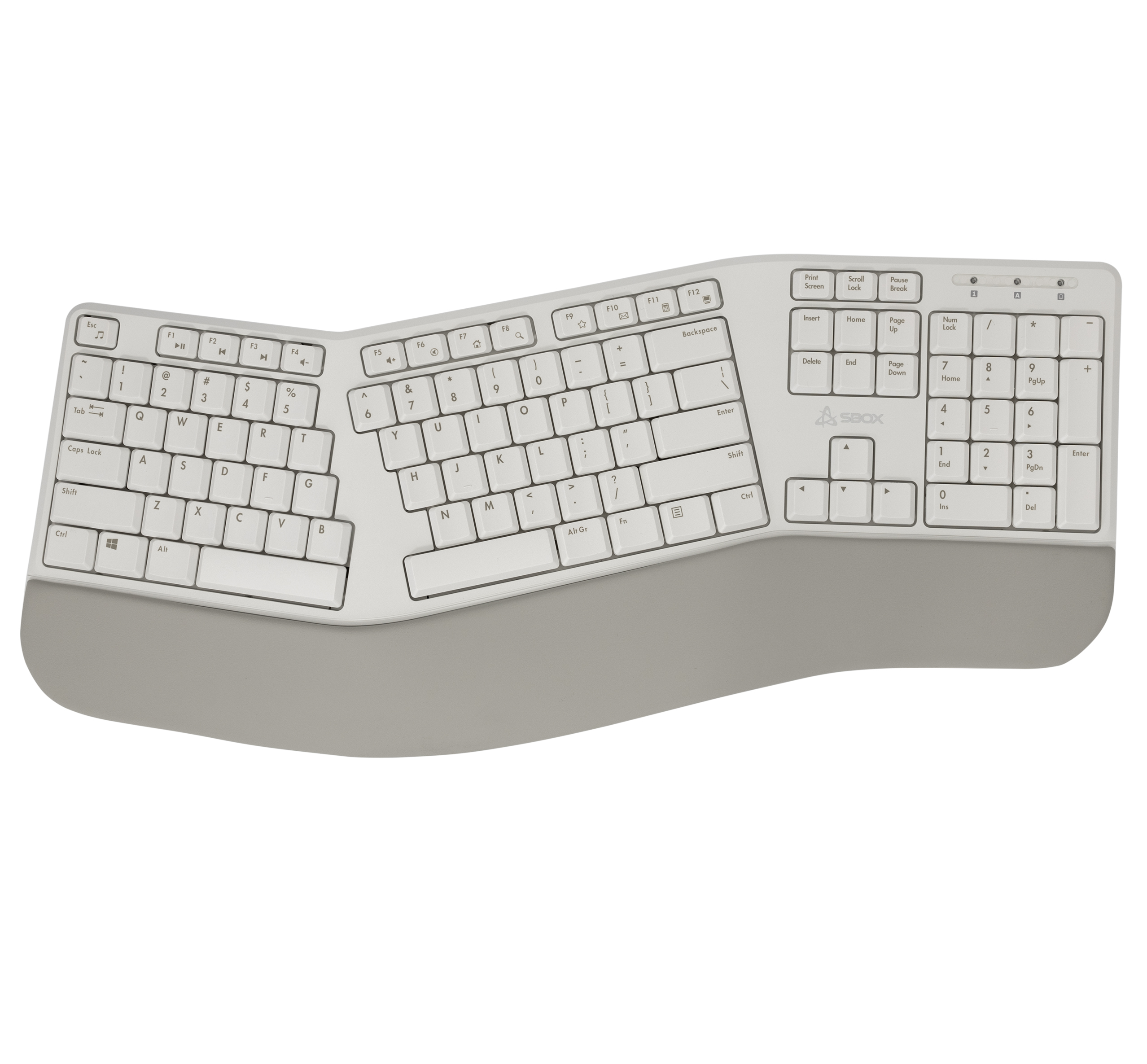 Prova il comfort e lo stile della tastiera ergonomica ICSB-WK905US. Questa tastiera a layout completo con 104/105 tasti, corpo in plastica beige e interruttori a membrana offre una durata di 10 milioni di pressioni. Viene fornita con un ricevitore USB tip
