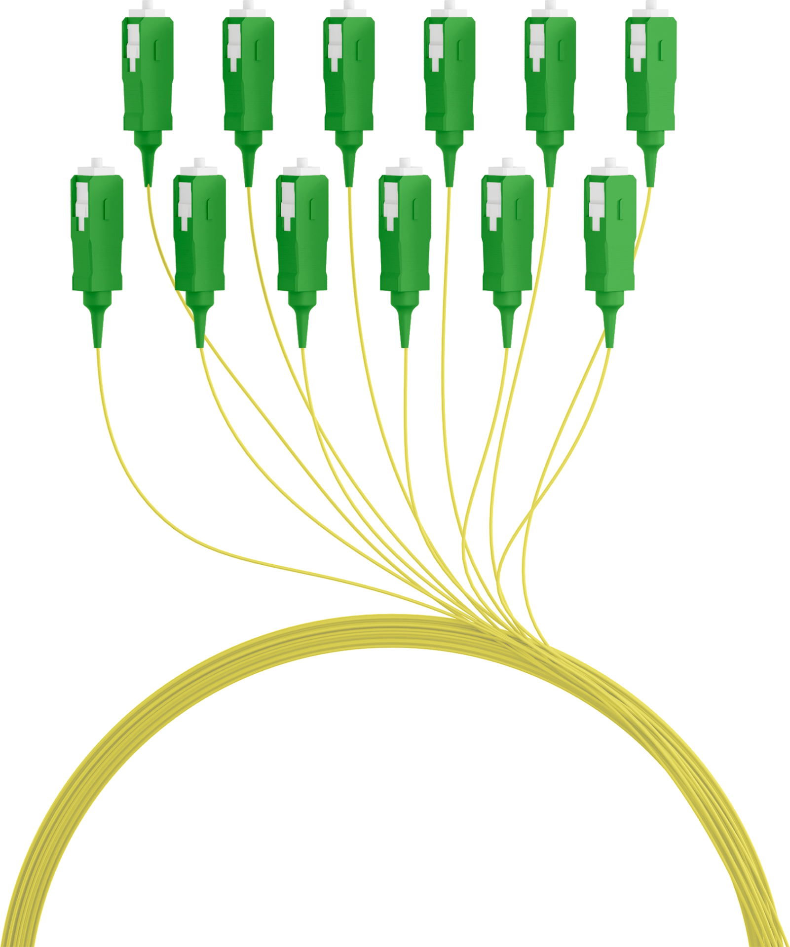 Set 12 Pigtail Fibra Ottica Monomodale OS2 SC/APC G657A2 2m Giallo